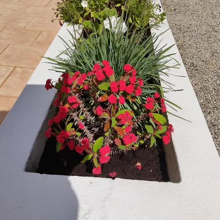 Maria Pefki (Rhodes)